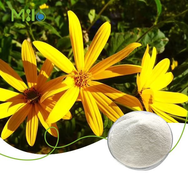 Pure Inulin Powder